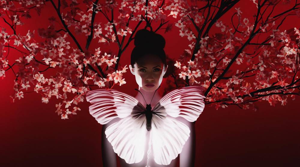 Capcalera Butterfly