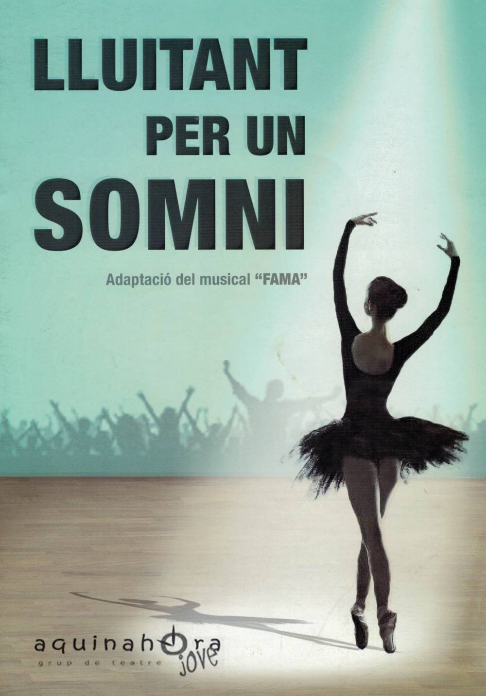 Lluitant per un somni