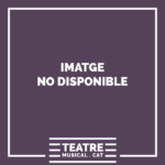 NO IMATGE
