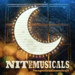 Nit de musicals 2017