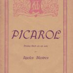 PICAROL TEATREMUSICAL
