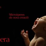 TEATREMUSICAL.CAT OHPERA 2025