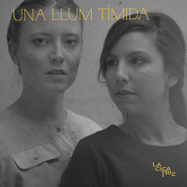 ALBUM UNALLUMTIMIDA TEATREMUSICAL