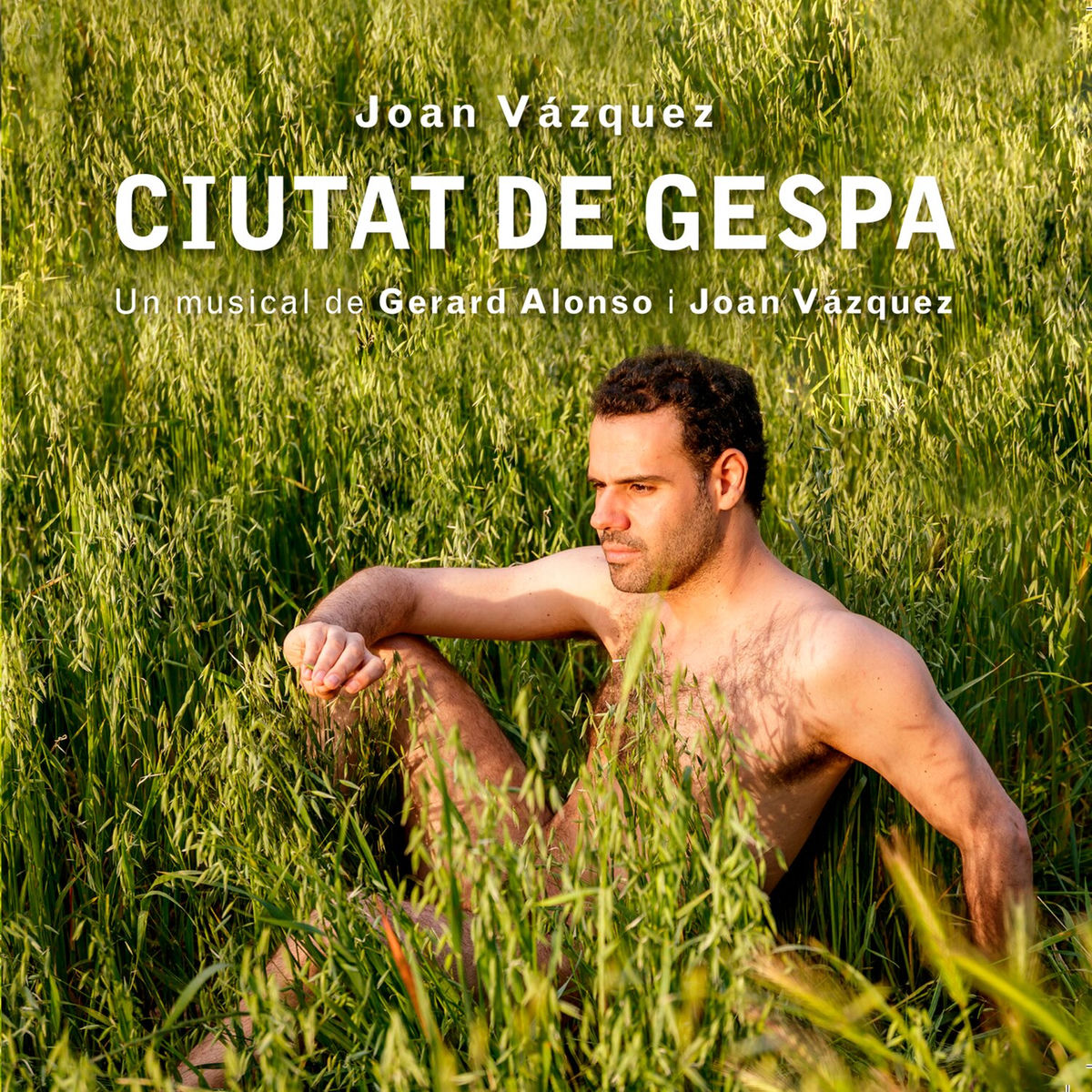Ciutat de Gespa album
