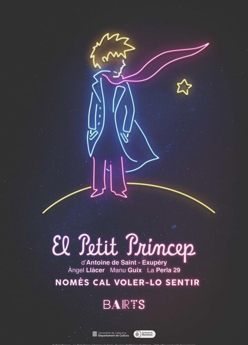 EL PETIT PRINCEP 8 TEATREMUSICAL